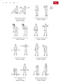 an exercise chart showing how to do squats