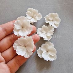 five white flowers are being held in someone's hand on a gray table top