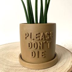 Le cache pot kaki Iris accompagné de sa coupelle assortie est un objet déco original à offrir ou à s'offrir. Fabriqué artisanalement, avec son inscription « Please don't die », le cache pot fait main kaki ajoutera une touche de couleur tendance à votre intérieur.Autres coloris disponibles ici. Chaque cache-pot est disponible en un seul et unique exemplaire. L’objet que vous voyez en photo est celui que vous commandez.Il est vendu seul. Composition : Jesmonite, colorant jesmonite, imperméabilisantDimensions : Hauteur 8,5 cm • Largeur 9,5 cm • Profondeur 9,5 cm / Diamètre pour une plante : 7 cm maximumPoids : ~280g Informations : Les cache-pots décoratifs Maison Siana sont réalisés à la main en jesmonite, un matériau écologique, résistant et léger. Ils sont imperméabilisés pour les protéger Clay Plant Pots, Deco Originale, Cache Pot, Green Rooms, Plant Mom, Clay Projects, Crafts To Do, Secret Santa, Clay Crafts