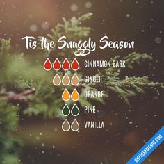 Christmas Diffuser Blends, Essential Oil Combinations, Essential Oil Diffuser Blends Recipes, Young Living Essential Oils Recipes, Essential Oils Guide, Essential Oil Diffuser Recipes, Oil Diffuser Recipes, Yl Essential Oils, Essential Oil Mixes