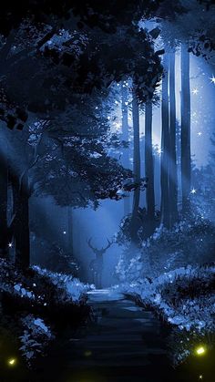 a forest filled with lots of trees covered in blue lights and stars at night time