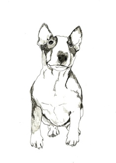 a black and white drawing of a small dog