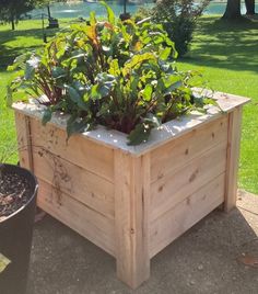 a wooden planter box with plants growing in it