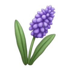 a purple flower with green stems on a white background