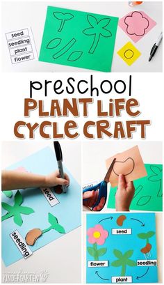 a collage of photos with the words preschool plant life cycle craft