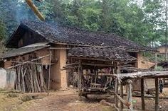 an old wooden shack sitting in the woods