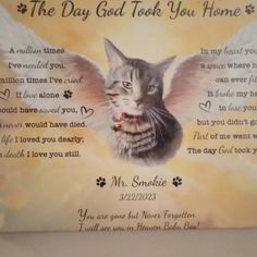 a cat with wings on it's back is shown in front of a memorial plaque