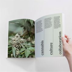 Simple Layout Design, Gradient Photography, Iconography Design, Annual Report Layout, Beauty Retail, Report Layout, Photography Typography, Editorial Design Layout