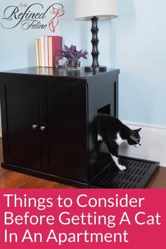 Things to Consider Before Getting An Apartment Cat Litter Box Cabinet, Hiding Cat Litter Box, Enclosed Litter Box, Litter Box Covers, Cat Litter Box Enclosure, Box Cabinet, Litter Box Furniture, Litter Box Enclosure, Cat Litter Box Furniture