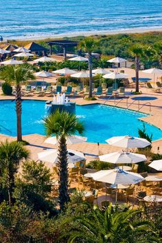 an outdoor swimming pool with umbrellas and palm trees surrounding it next to the ocean