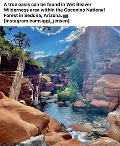 a river flowing through a lush green forest next to red rocks and trees in the background