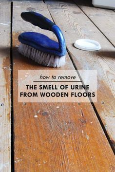 a blue brush sitting on top of a wooden floor with the words how to remove the smell of urine from wooden floors