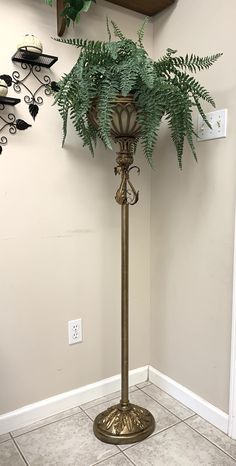 a plant in a vase sitting on top of a floor next to a light switch