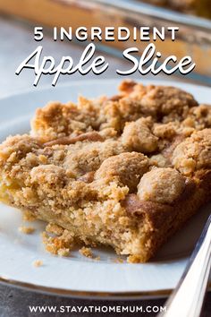 a close up of a piece of cake on a plate with the words,'single ingredient apple slice '