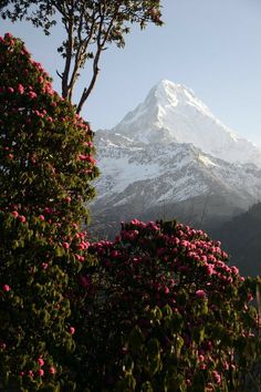 Trekking in Nepal Nepal Wallpaper, Annapurna Mountain, Adventure Tourism, Landlocked Country, Cheap Flight