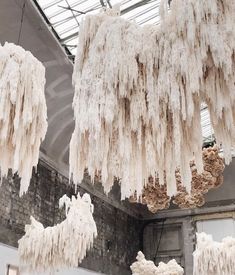 icicles hang from the ceiling in an abandoned building