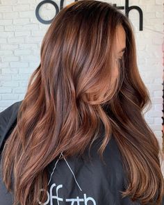 Rose Copper Brown Hair, Dimensional Brunette With Copper, Root Melt Auburn, Honey Tones Brown Hair, Chocolate Brown With Auburn Highlights, Fall/winter Brunette Hair, Brunette To Auburn Before And After, Brunette Balayage Hair Copper