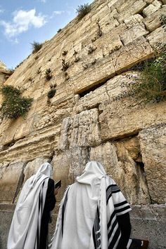 two men sitting on the ground in front of a large stone wall with vines growing out of it