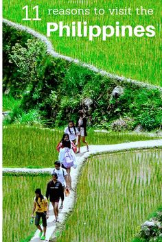 people walking down a path in the middle of rice fields with text that reads 11 reasons to visit the philippines