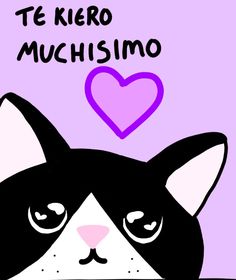 a black and white cat with a pink heart in the background that says te keiro mushismo