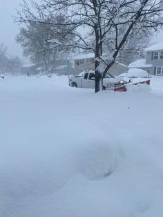 a truck is parked in the middle of a snow covered driveway and tree with no leaves on it