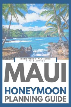 the front cover of a travel guide for the hawaiian islands, with palm trees in the background