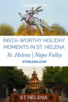 an advertisement for the st helena holiday festival with images of animals and trees in front of