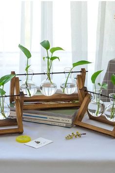 three wooden frames with plants in them on top of a white table cloth covered table