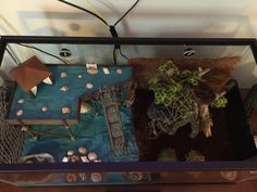 a fish tank filled with lots of different types of things on it's sides