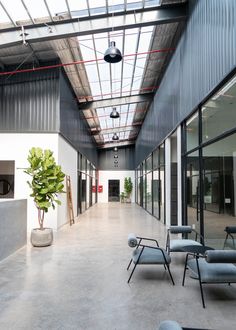 an empty room with chairs and plants in it