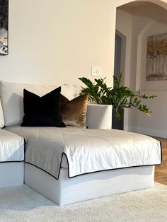 a white couch with pillows on it in a living room next to a potted plant