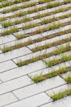 a bird is sitting on the ground with grass growing in it's back legs