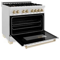 an oven with the door open and two burners on each side, in front of a white background