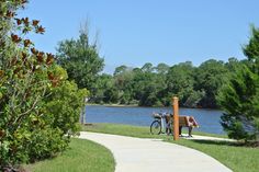 two bicycles parked on the side of a road next to a lake