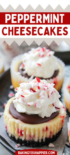 mini peppermint cheesecakes with chocolate frosting and sprinkles