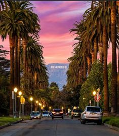 palm trees line the street as cars drive down it at dusk with mountains in the distance