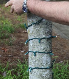 a man's hand is holding on to a tree