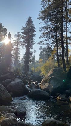 the sun shines brightly through the trees and rocks in this rocky riverbed area