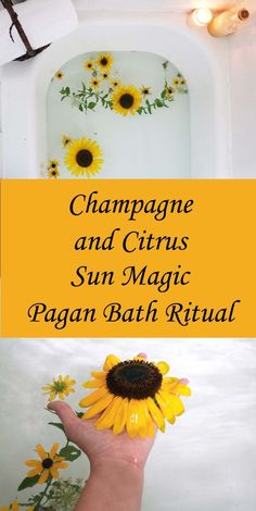 Champagne and citrus sun magick pagan wiccan bath ritual. Sun Magic, Spiritual Bath, Pagan Rituals, Kitchen Witchery, Ritual Bath, Witching Hour, Orange Essential Oil, Kitchen Witch, Natural Cleaning Products