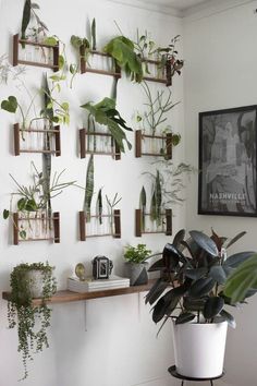 the wall is filled with potted plants and hanging shelves