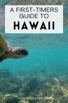 a sea turtle swimming in the ocean with text overlay reading a first - timers guide to hawaii