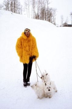 This image is printed on high quality semi-gloss photo paper, creating a beautiful reproduction print. It arrives ready to frame. All of our prints are made on demand one-at-a-time, just for you -- not mass-produced.  About this image... * Title: Ann Bonfoey Taylor Wearing A Yellow Goatskin Coat, Walking Her Three West Highland White Terrier Dogs, Vail, Colorado, 1967 * Photographer: Frissell, Toni, 1907-1988. * Date: 1967. * Subject: Coats--1960-1970. * Subject: Dogs--Colorado--Vail--1960-1970. 60s Fashion Icons, Snow Day Outfit, Vail Colorado, Ski Fashion, West Highland White, Vintage Ski, West Highland Terrier, West Highland White Terrier, White Terrier