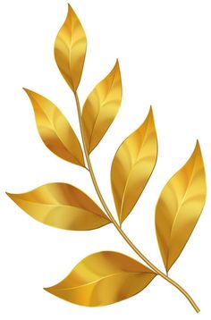 golden leaves on a white background with clippings for text or image, this is an illustration