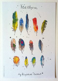 a watercolor drawing of feathers with the words feathers written on it in different colors