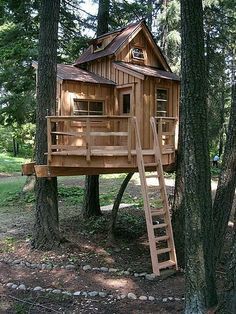 a tree house built into the side of a tree