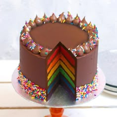 a chocolate cake with rainbow sprinkles on top