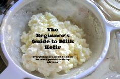 the beginner's guide to milk kefir everything you need to know to reach product quality