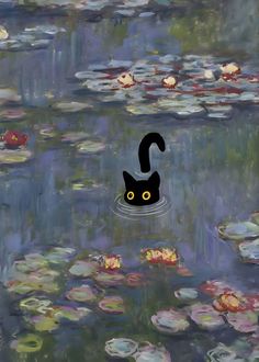 a black cat floating in the water with lily pads on it's sides and an upside down image of a question mark