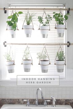 a kitchen sink under a window filled with potted plants and hanging from the ceiling