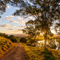 the sun is setting over a small lake in the middle of a grassy area with trees and grass on both sides